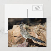 Een agent van de Weg pauzeert snel voorbijgaand op Briefkaart (Voorkant / Achterkant)