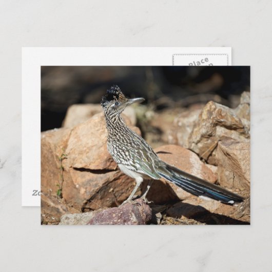 Een agent van de Weg pauzeert snel voorbijgaand op Briefkaart (Voorkant / Achterkant)