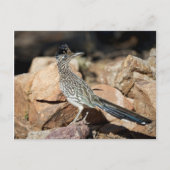 Een agent van de Weg pauzeert snel voorbijgaand op Briefkaart (Voorkant)