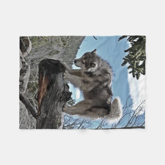 Een Alaskan Malamute met de naam Uzi Fleece Deken (Voorkant (Horizontaal))