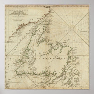 een algemene kaart van het eiland Newfoundland Poster
