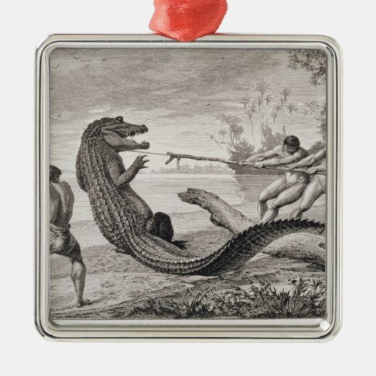 Een alligator vangen met lasso metalen ornament (Voorkant)