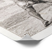 Een alligator vangen met lasso poster (Hoek)