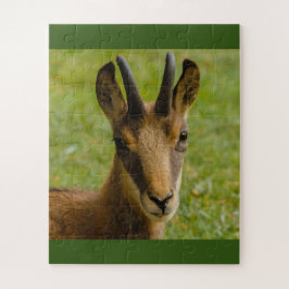 een alpineser chamois op een puzzel