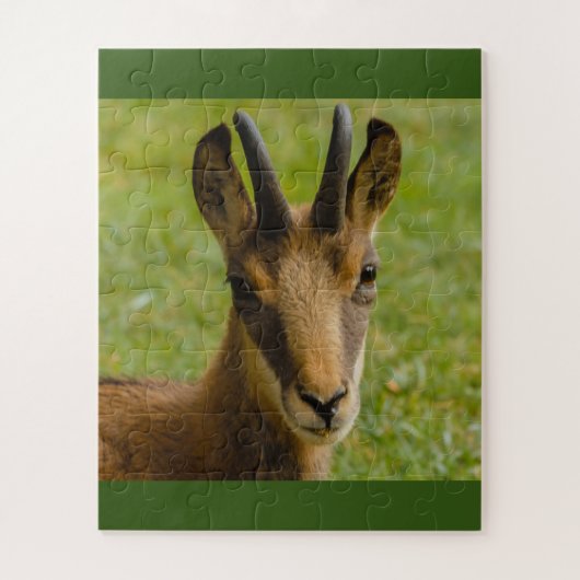 een alpineser chamois op een puzzel (Verticaal)