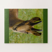 een alpineser chamois op een puzzel (Horizontaal)