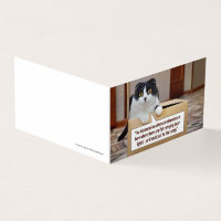 Een alternatieve dimensie