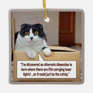 Een alternatieve dimensie keramisch ornament
