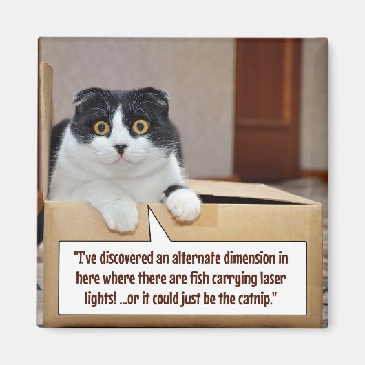 Een alternatieve dimensie magneet (Voorkant)