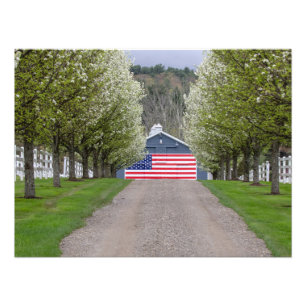 Een Amerikaans Boerderij Foto Afdruk