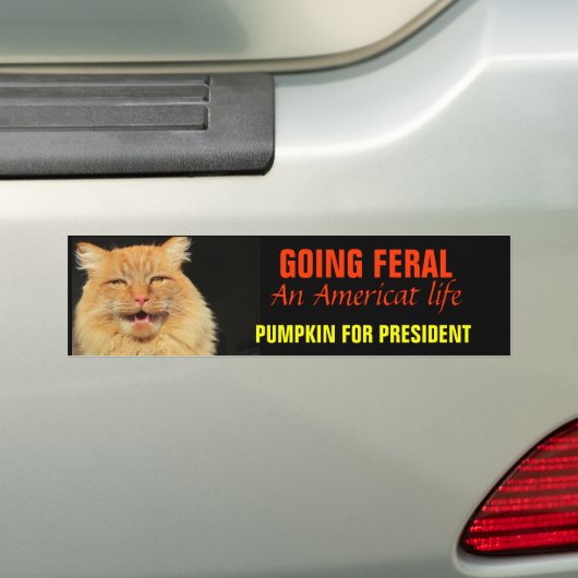 Een Amerikaans leven 2020 Bumpersticker (Op auto)