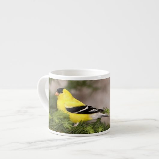 Een Amerikaanse Goldfinch man in een boom Espresso Kop (Links)