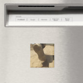 Een Amerikaanse soldaat loopt langs een vuile weg Magneet (Insitu (Vaatwasser))