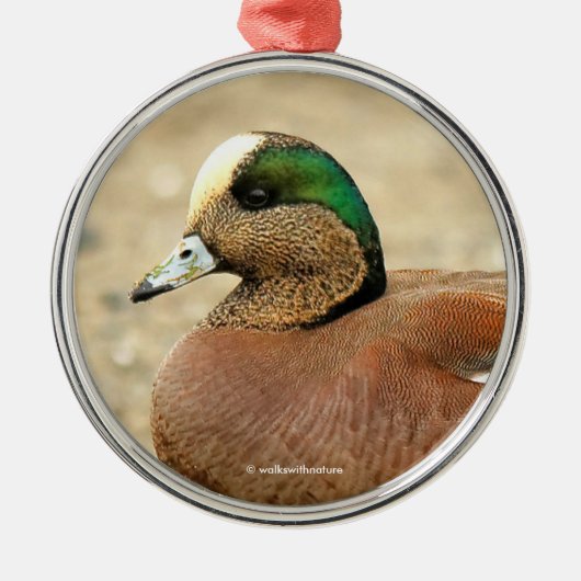 Een Amerikaanse Wigeon op het strand Metalen Ornament (Voorkant)