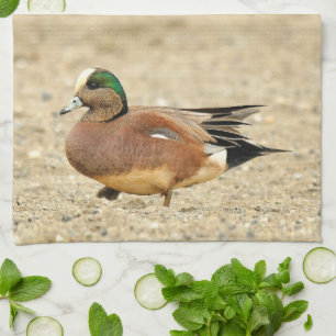 Een Amerikaanse Wigeon op het strand Theedoek