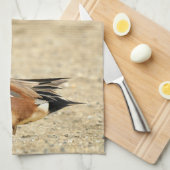 Een Amerikaanse Wigeon op het strand Theedoek (Quarter Fold)