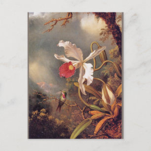 Een Amethist-kolibrie met een Witte Orchidee Briefkaart