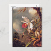 Een Amethist-kolibrie met een Witte Orchidee Briefkaart (Voorkant / Achterkant)