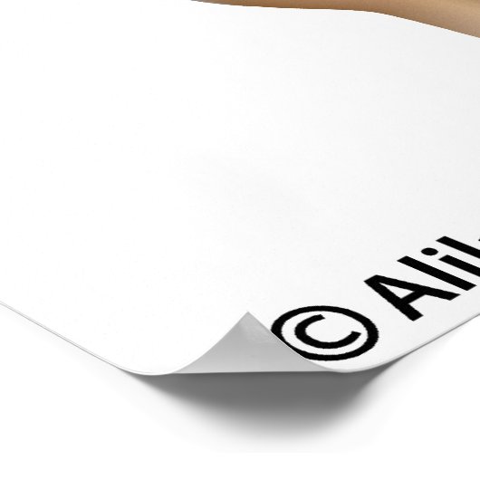 Een anatomiediagram van een kniegewricht zonder la poster (Hoek)