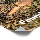 Een ander lichaam gevonden in het Park Poster (Hoek)