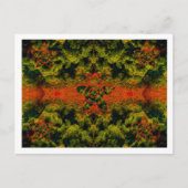 Een ander licht briefkaart (Voorkant)