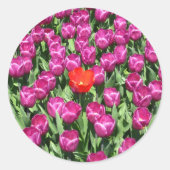 Een ander merk ronde sticker (Voorkant)