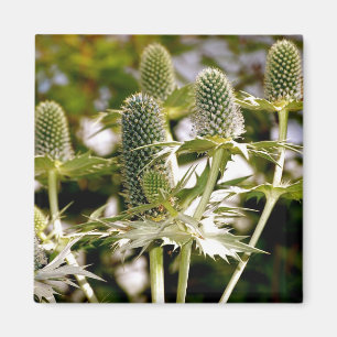 Een ander Plant Cool Magnet