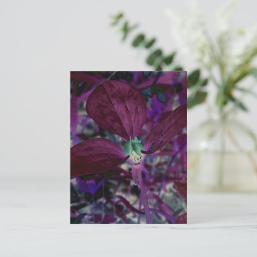 Een ander trillium briefkaart (Staand voorkant)