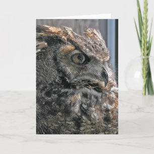 Een ander wijzer jaar kaart