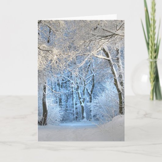 een ander winter wonderland feestdagen kaart (Voorkant)