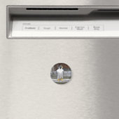 Een andere boogmagneet magneet (Insitu (Vaatwasser))