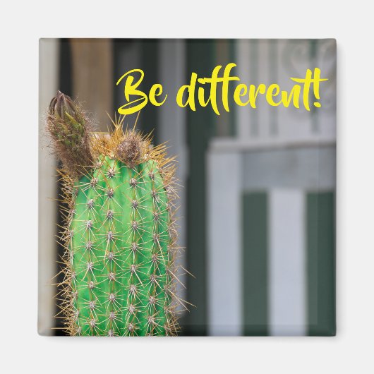 Een andere Cactus Inspiration Magnet (Voorkant)