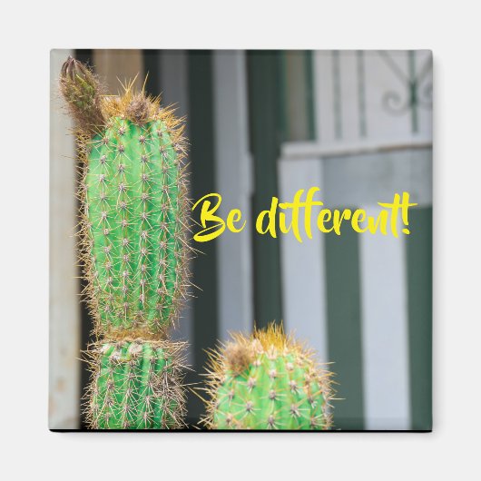 Een andere Cactus Inspiration Magnet (Voorkant)