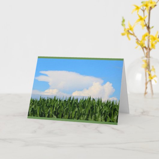 Een andere enkel CornySt Patrick Kaart van de Dag (Gele Bloem)