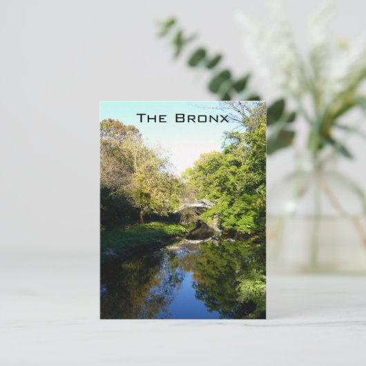 Een andere kant van de Bronx Briefkaart (Staand voorkant)