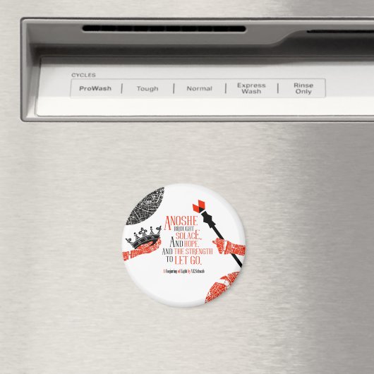 Een andere magneet (Insitu (Vaatwasser))