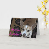 Een andere Verjaardag? Kaart (Gele Bloem)