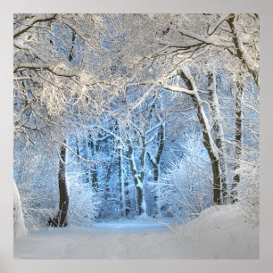 een andere winterwonderland poster