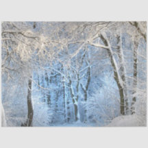 een andere winterwonderland