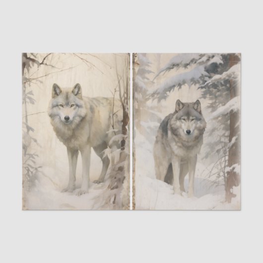 Een apart paar wolven in het winterbos tissuepapier (Voorkant)