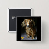 Een aparte Dachshund-Button Vierkante Button 5,1 Cm (Voorkant /achterkant)