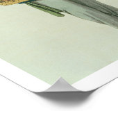 Een Apothecary, bord 26 uit 'The Costume of China' Poster (Hoek)