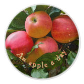 "EEN APPEL PER DAG"./CLUSTER VAN APPELS KERAMISCHE KNOP (Voorkant)
