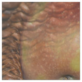 Een appel per dag... stof (Close Up)