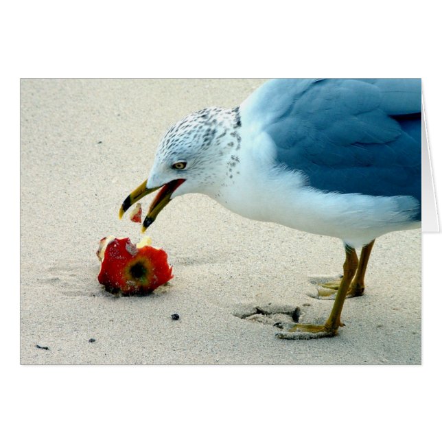 Een Apple per dag... (Voorkant Horizontaal)