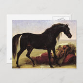Een Arabisch paard Briefkaart (Voorkant / Achterkant)