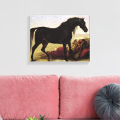 Een Arabisch paard Canvas Afdruk (Insitu (Woonkamer))