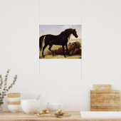 Een Arabisch paard Poster (Keuken)