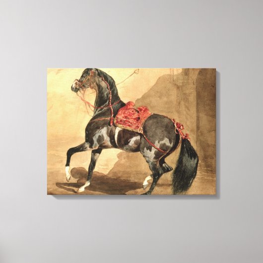 Een Arabisch paard (w/c op papier gezet) Canvas Afdruk (Voorkant)