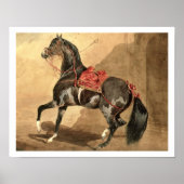 Een Arabisch paard (w/c op papier gezet) Poster (Voorkant)